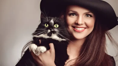 Catsiepants: A Whiskered Wonder in the World of Pet Blogging