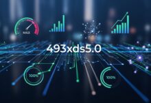 What is 493xds5.0 in software: Enhances Software Performance and Efficiency