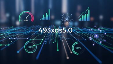 What is 493xds5.0 in software: Enhances Software Performance and Efficiency