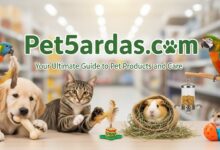 Pet5ardas com: Your Ultimate Guide to Pet Products and Care