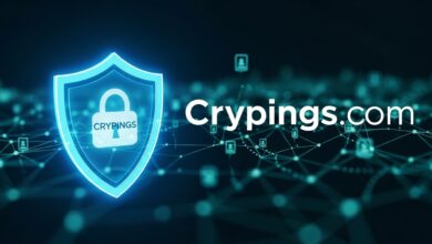 Crypings com: Revolutionizing Data Privacy in the Digital Age