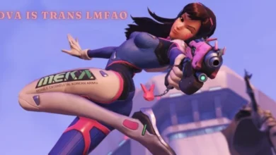 Dva is trans lmfao: The Intersection of Humor and Trans Advocacy