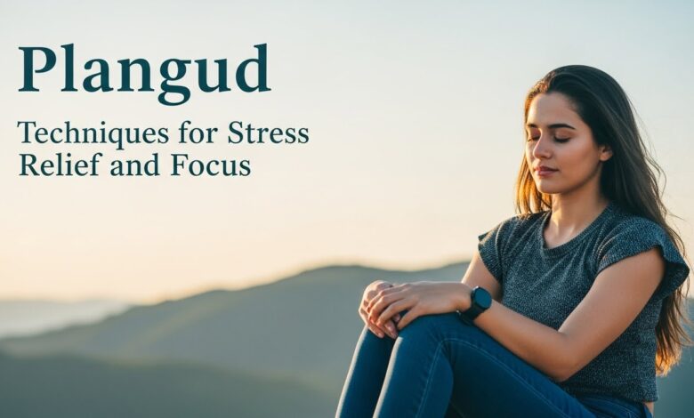 Plangud: Techniques for Stress Relief and Focus