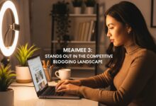 Meaimee 3: Stands Out in the Competitive Blogging Landscape