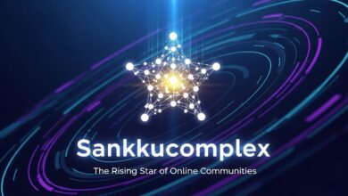 Sankkucomplex: The Rising Star of Online Communities